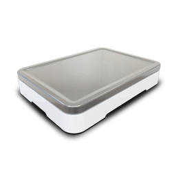 Waga Fawag DS-1